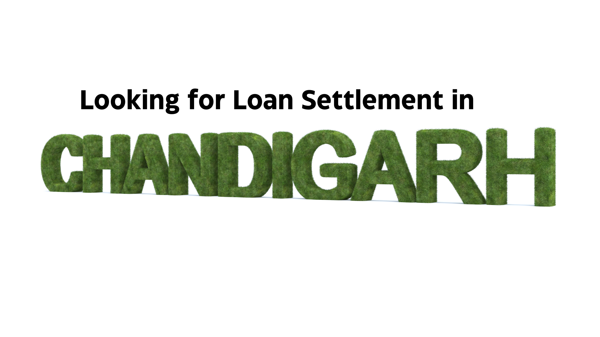 Looking for Loan Settlement in Chandigarh